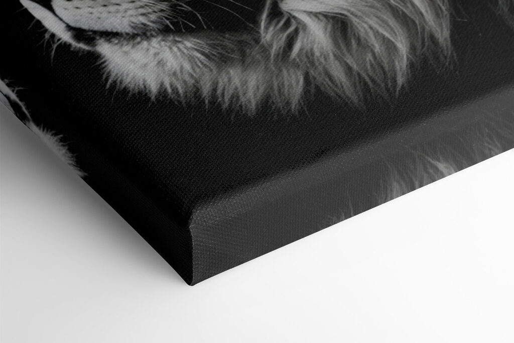 Lion wearing a crown