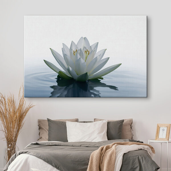 Floare albă în apă Floare albă în apă