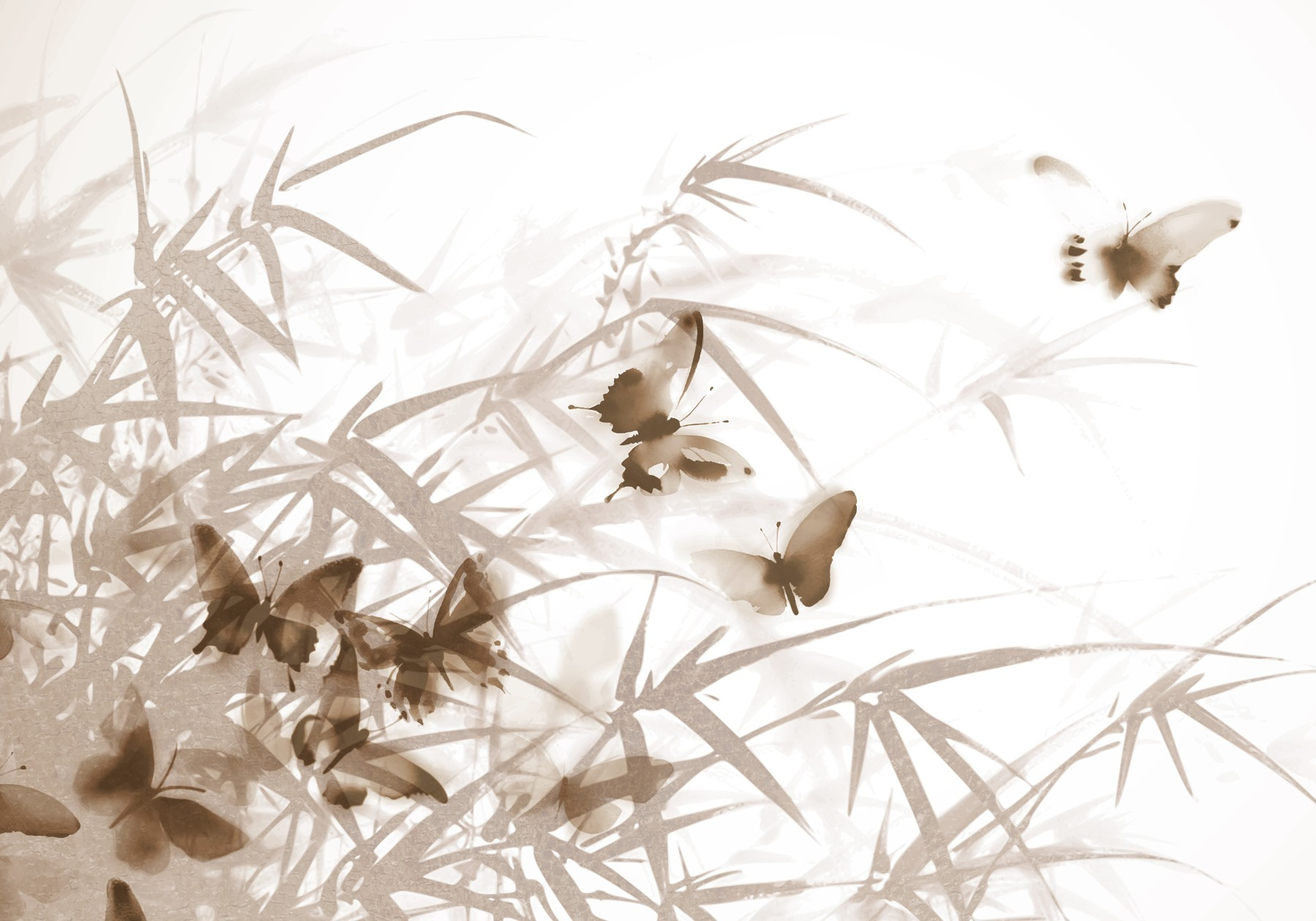 Butterflies on a white surface