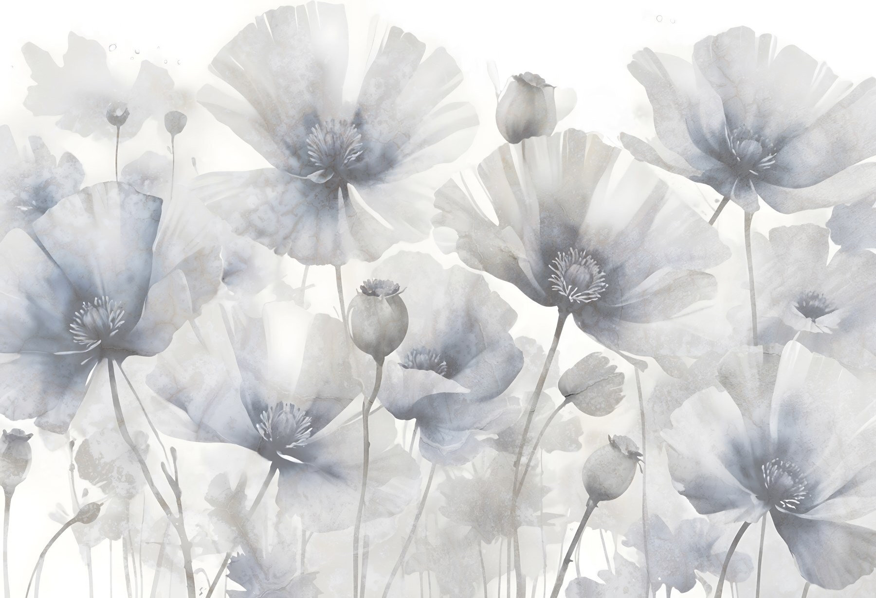 Group of flowers on a white background Group of flowers on a white background