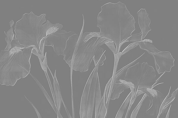 Modele florale elegante în tonuri moi Modele florale elegante în tonuri moi