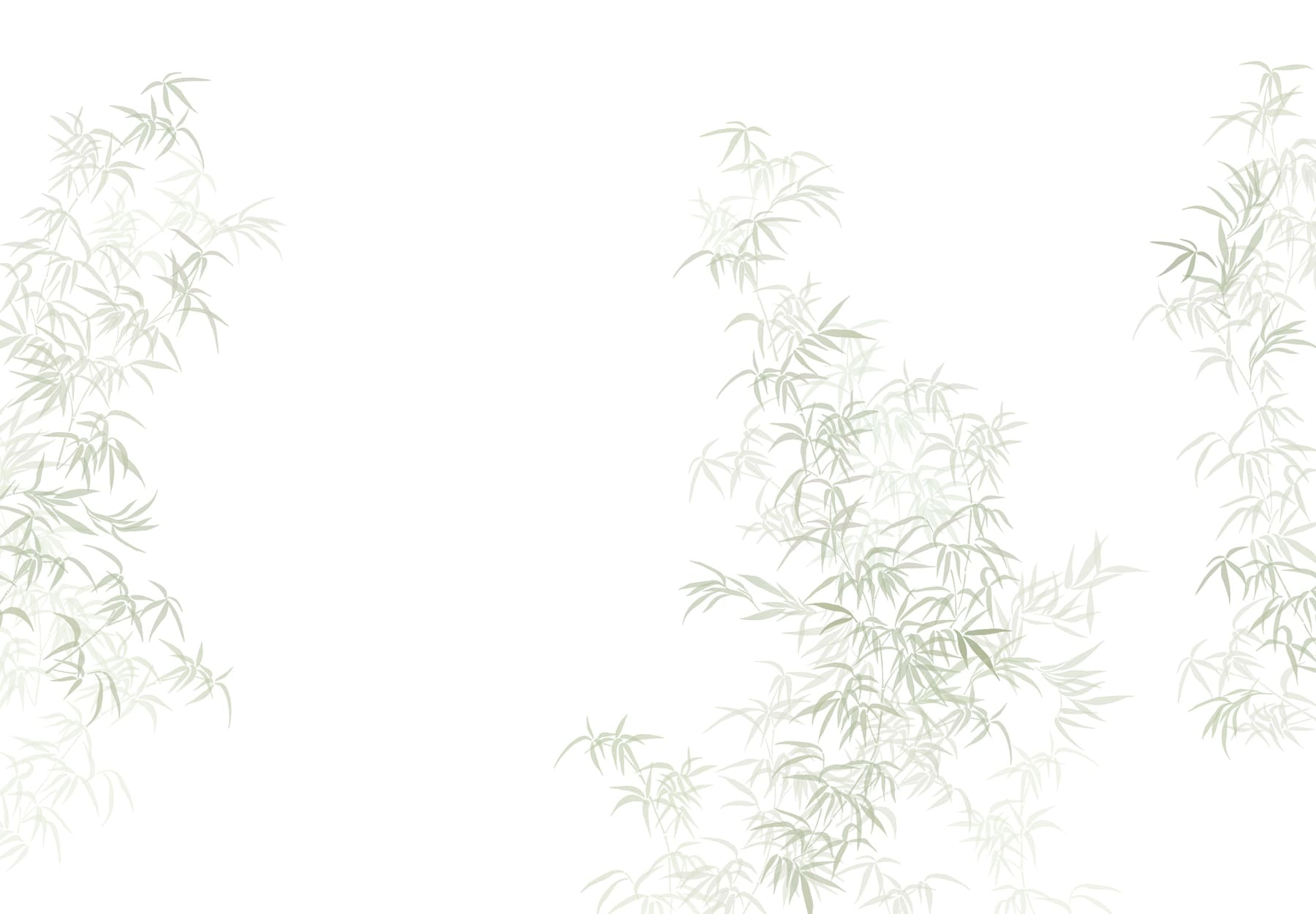 Plant with leaves on it
