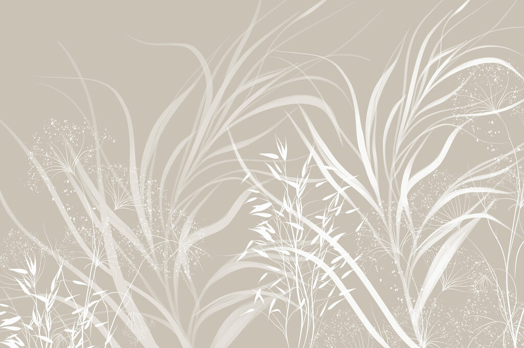 Design floral alb pe un fundal gri Design floral alb pe un fundal gri