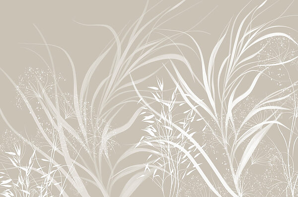 Design floral alb pe un fundal gri Design floral alb pe un fundal gri