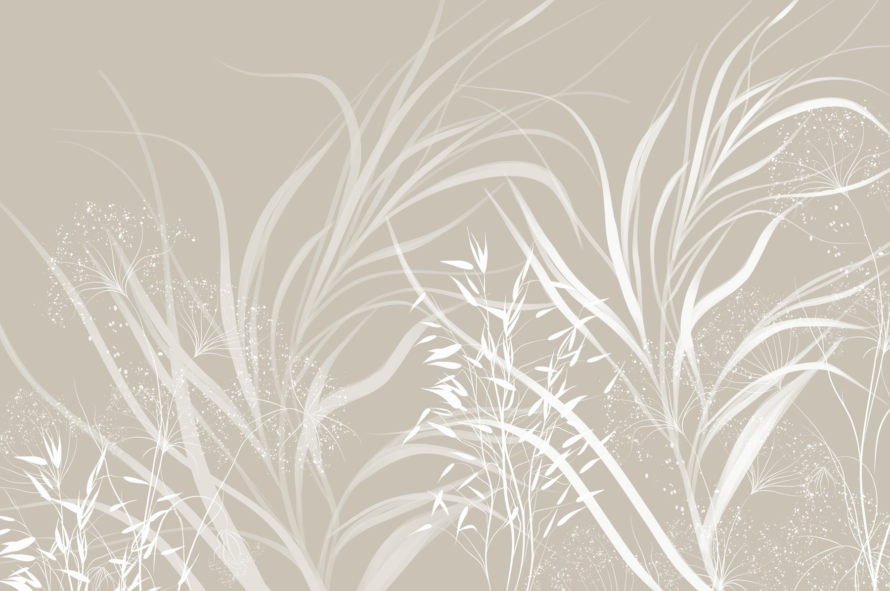 White floral design on a grey background White floral design on a grey background