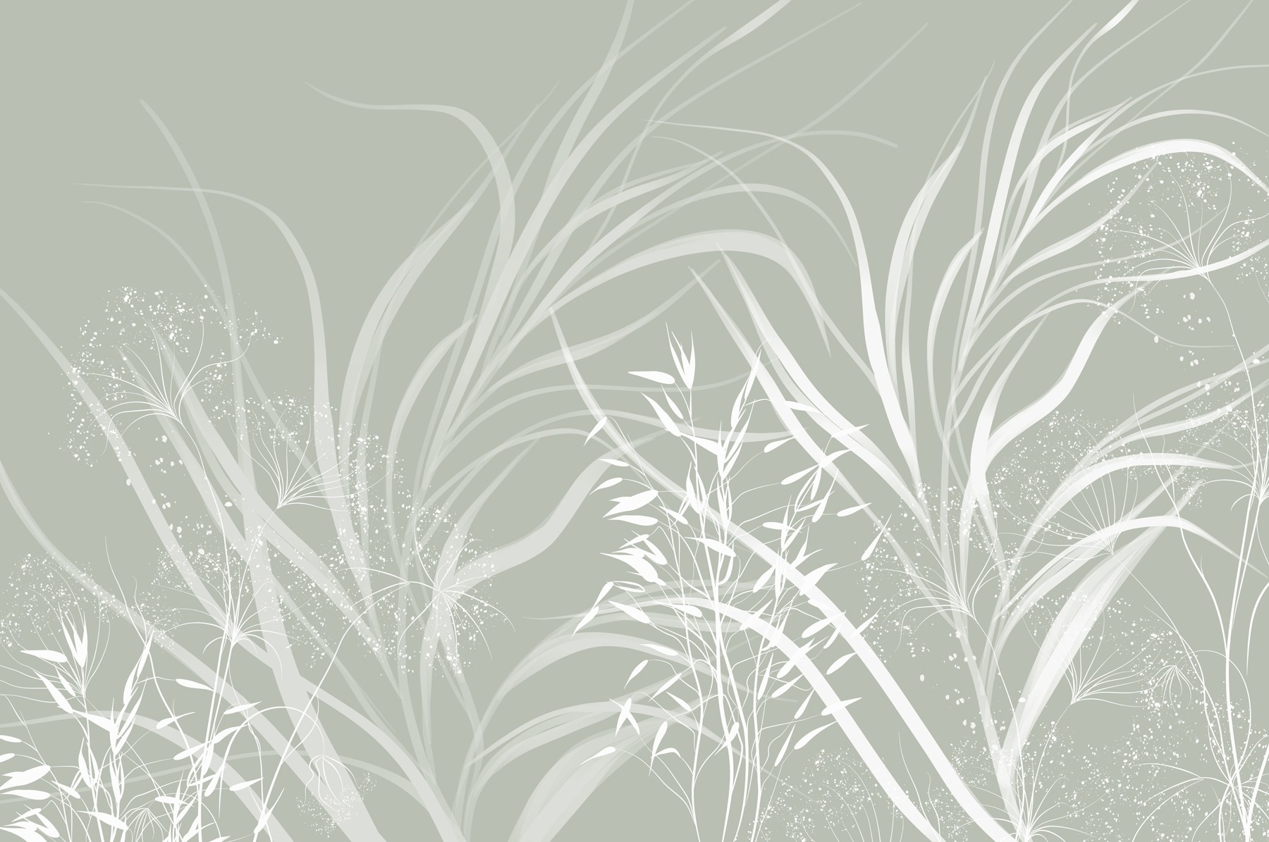 Soft patterns of nature's elegance Soft patterns of nature's elegance