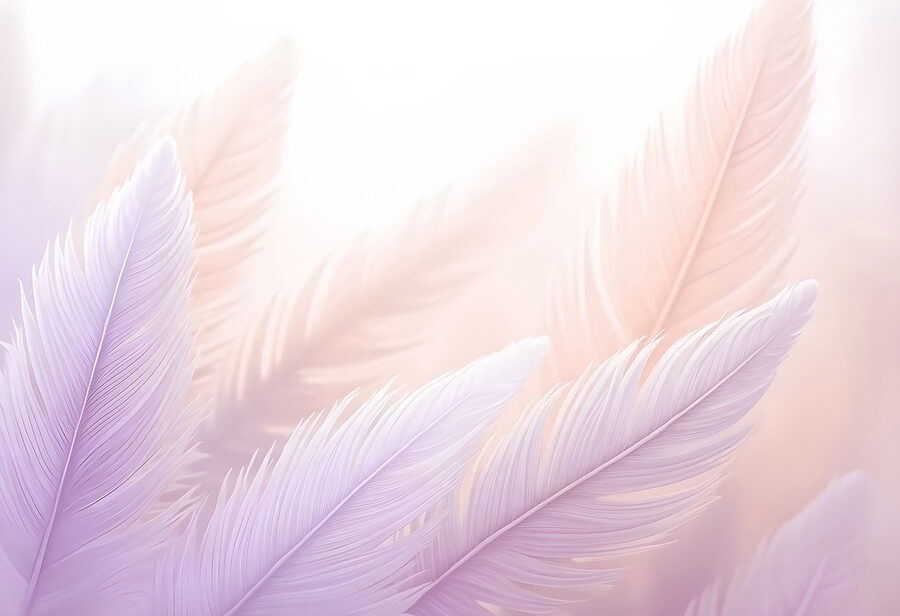 Delicate feathers in soft pastels Delicate feathers in soft pastels