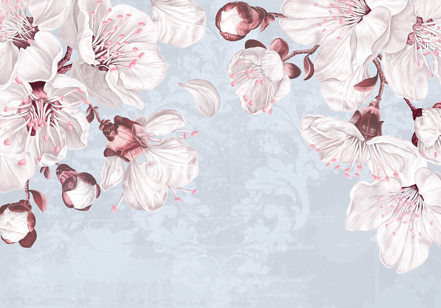 Flori delicate pe fundal moale