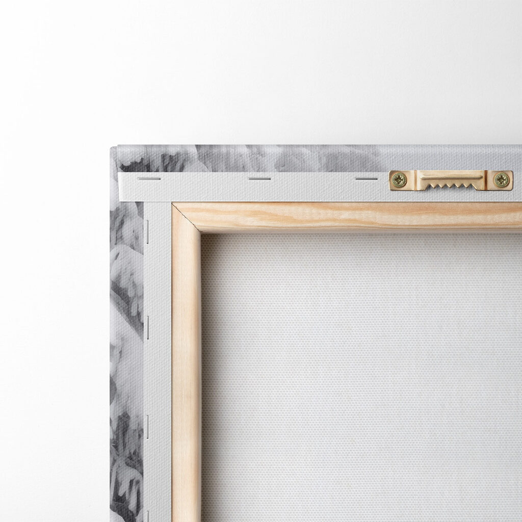 Snowy path with trees Snowy path with trees