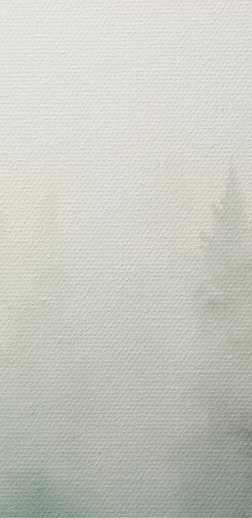 Watercolor of trees in a forest Watercolor of trees in a forest