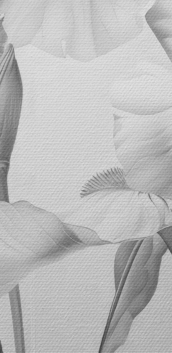 Petale delicate în nuanțe monocrome moi Petale delicate în nuanțe monocrome moi