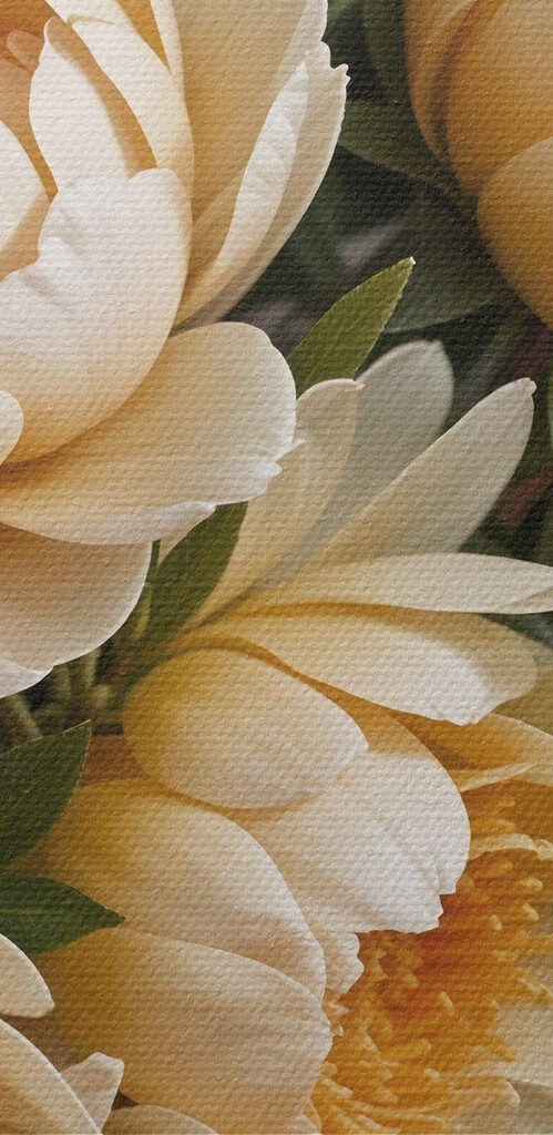 Group of flowers on a table Group of flowers on a table