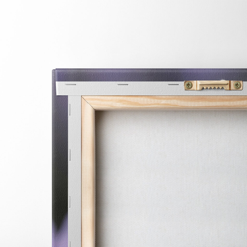 Delicate petals adorned with droplets Delicate petals adorned with droplets