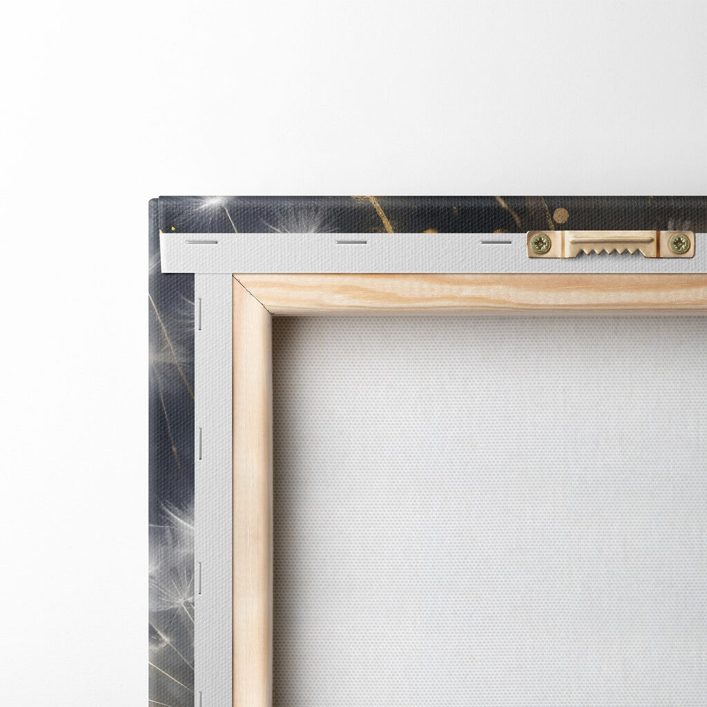 Delicate dandelions in soft light