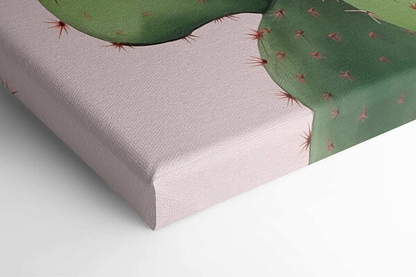 Cactus cu flori roz Cactus cu flori roz