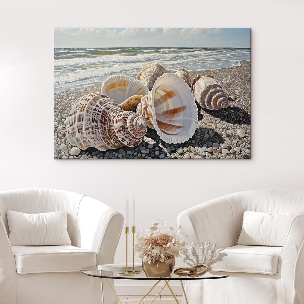 Seashells on a beach Seashells on a beach