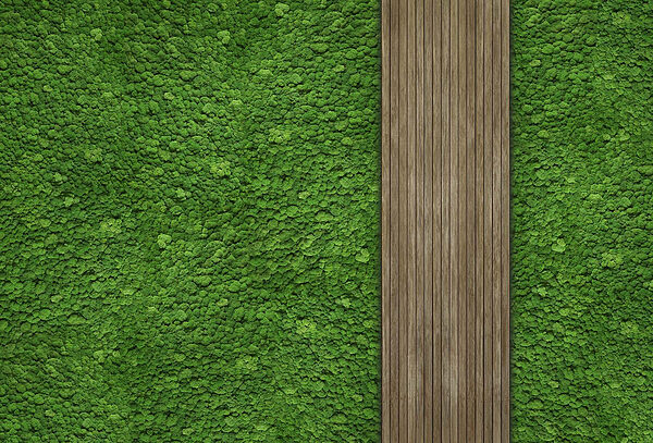 Scândură de lemn pe un perete verde Scândură de lemn pe un perete verde