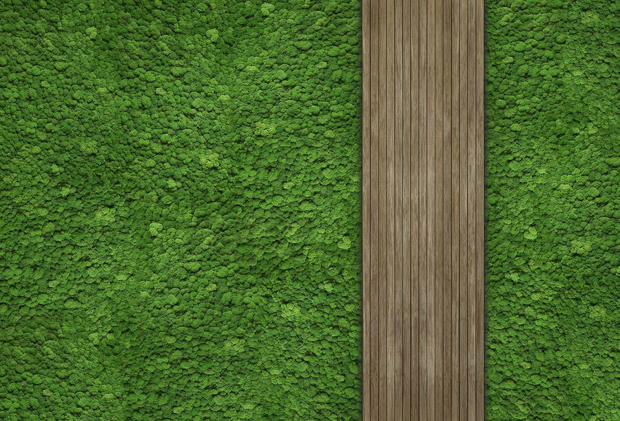 Scândură de lemn pe un perete verde Scândură de lemn pe un perete verde