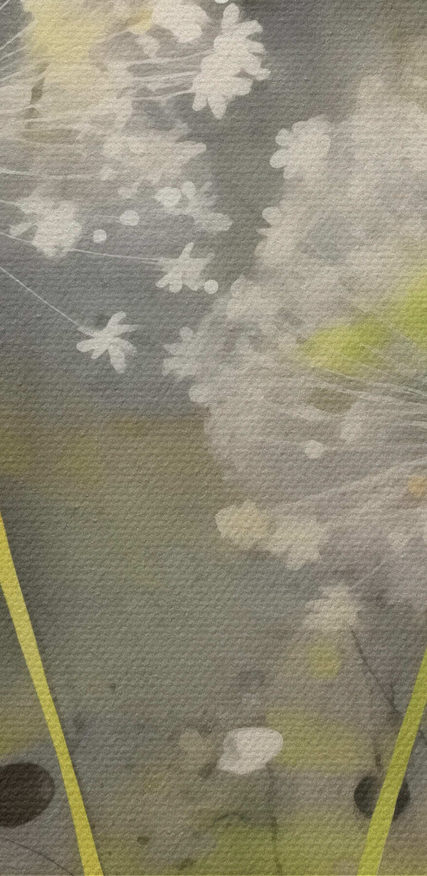 Flori albe delicate în nuanțe moi Flori albe delicate în nuanțe moi