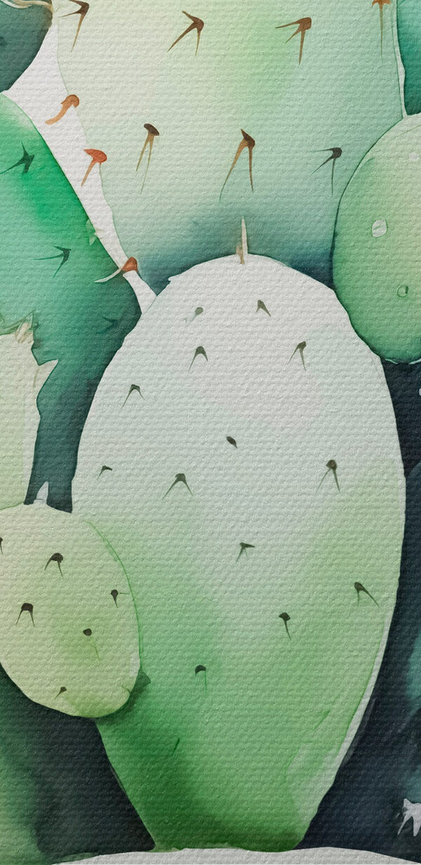 Acuarelă a unui cactus Acuarelă a unui cactus