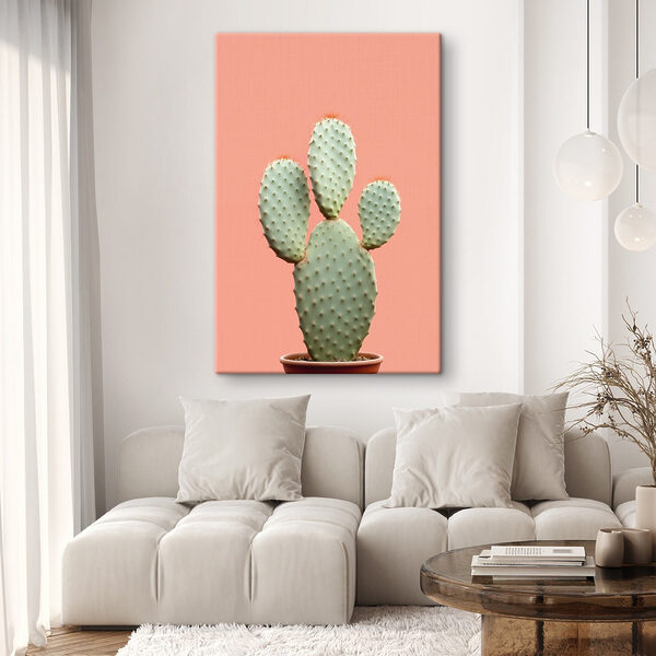 Cactus cu țepi roșii Cactus cu țepi roșii