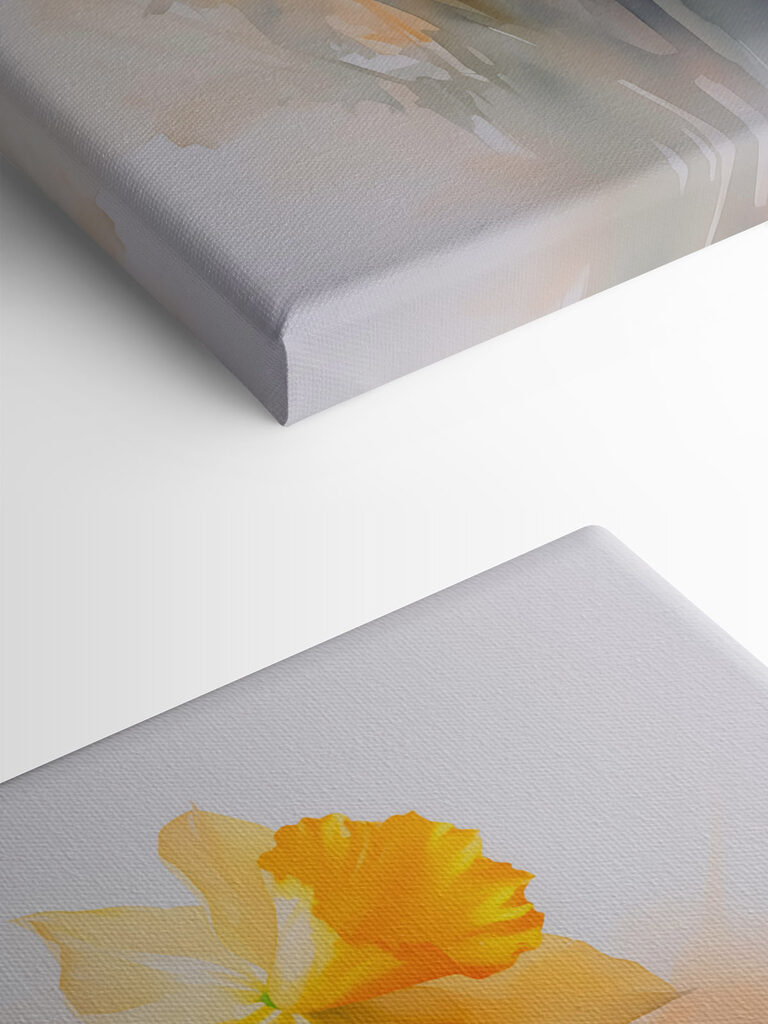 Group of yellow and white flowers Group of yellow and white flowers