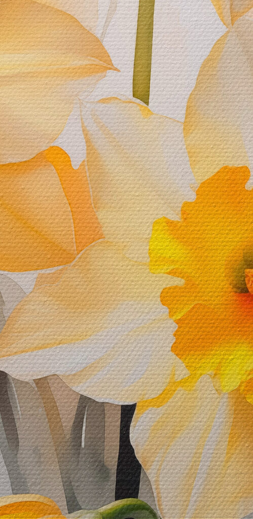 Group of yellow and white flowers Group of yellow and white flowers