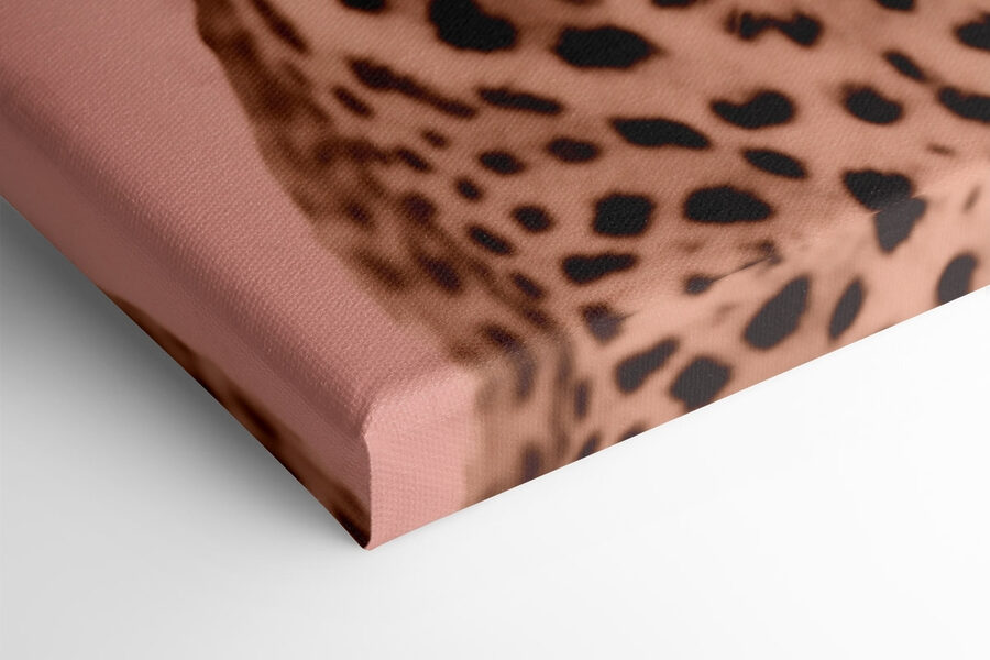 Leopard maiestuos în tonuri moi.