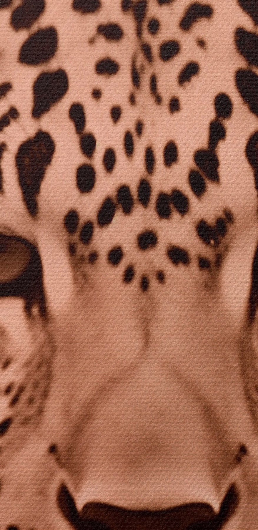 Leopard maiestuos în tonuri moi.