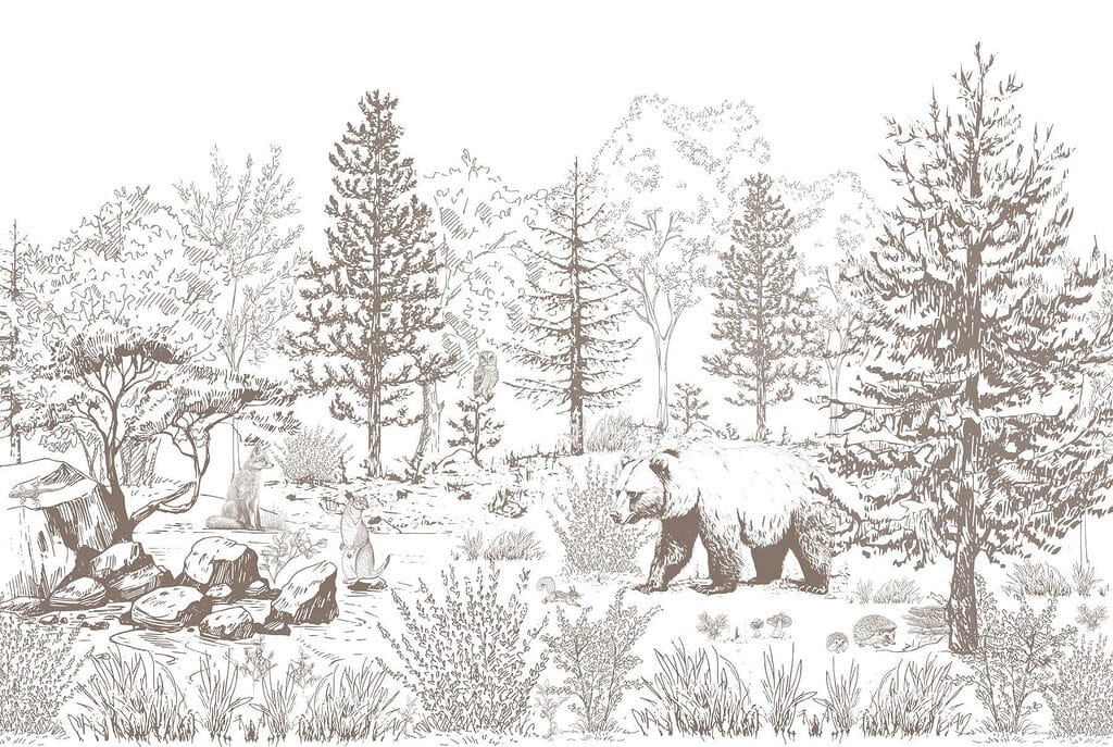 Bear walking in the woods