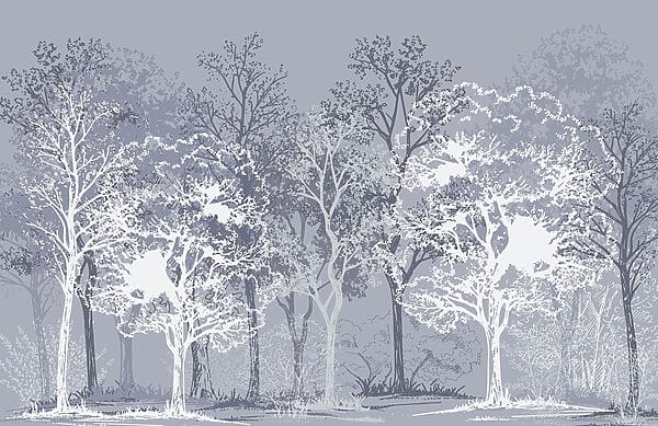 Group of trees in a forest