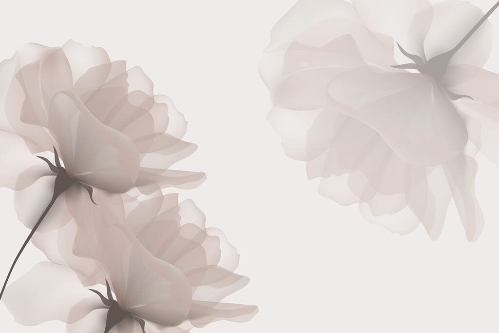 Group of flowers on a white background