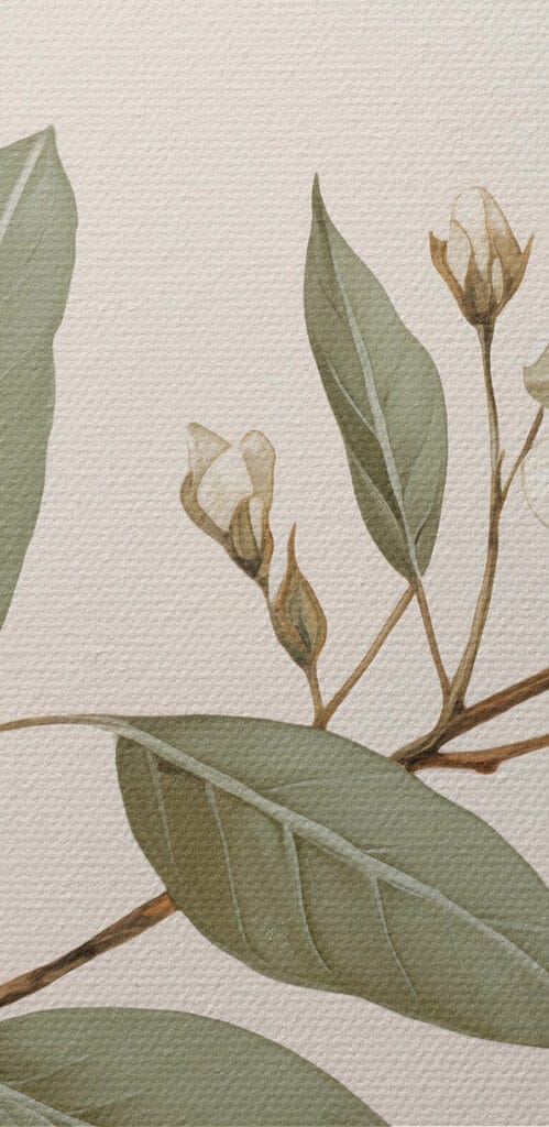 White flowers and leaves on a branch White flowers and leaves on a branch