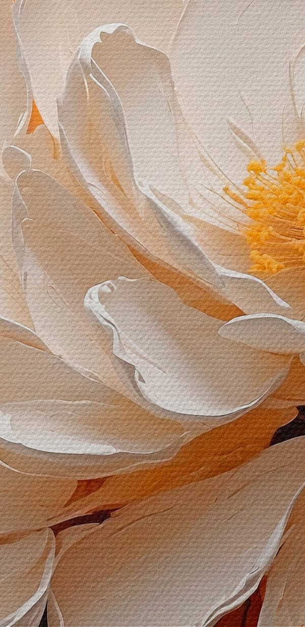 Floare albă cu centru galben Floare albă cu centru galben