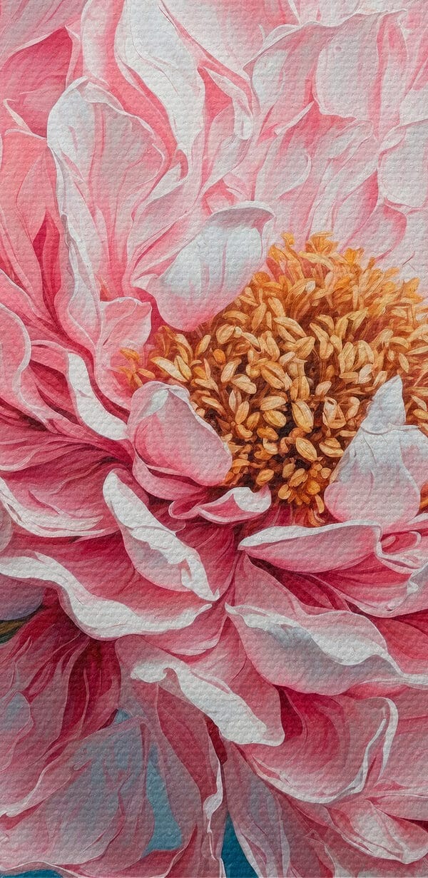 Pictura unei flori roz Pictura unei flori roz
