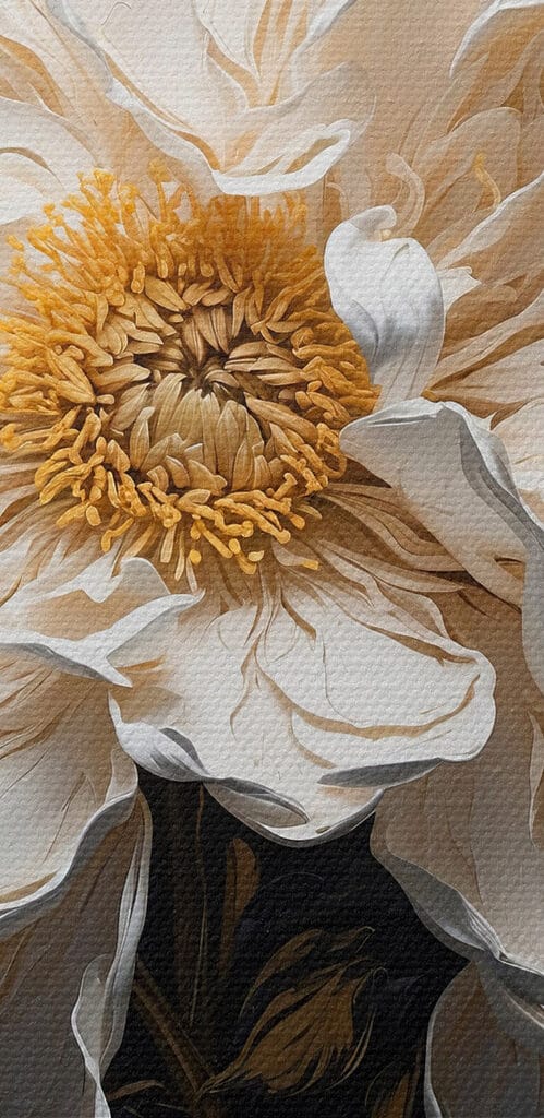 White flower with yellow center White flower with yellow center