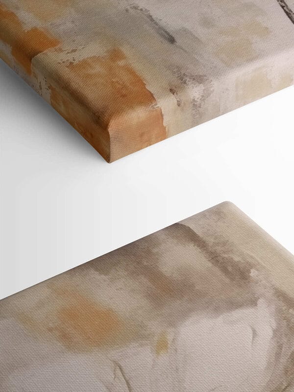 White flower with brown center White flower with brown center