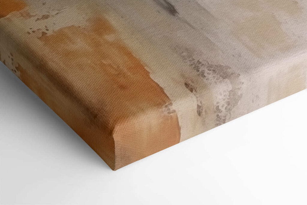 White flower with brown center White flower with brown center