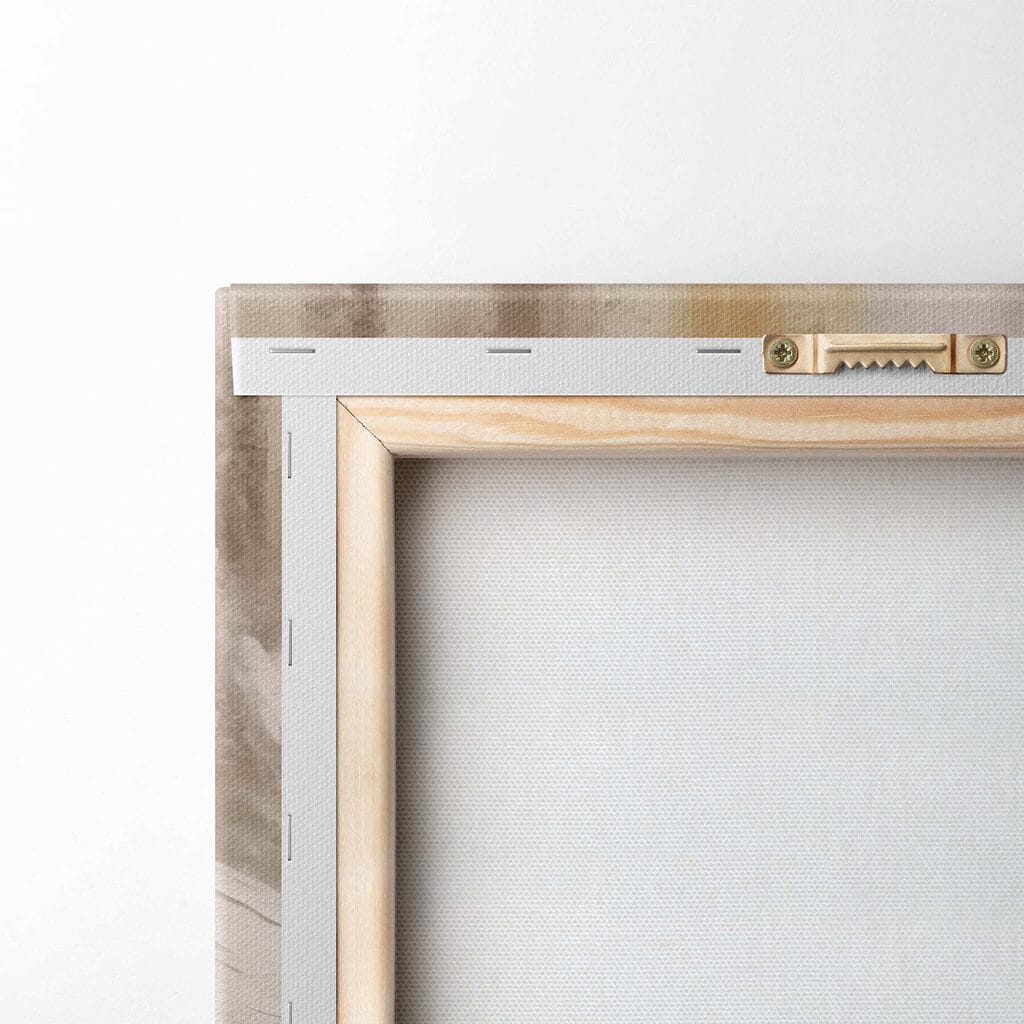 White flower with brown center White flower with brown center