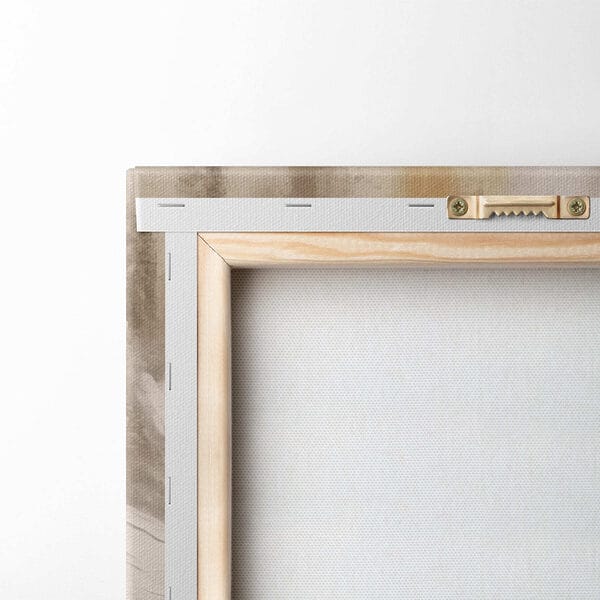 White flower with brown center White flower with brown center