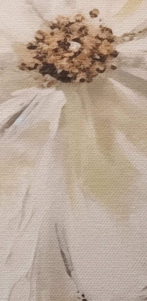 White flower with brown center White flower with brown center