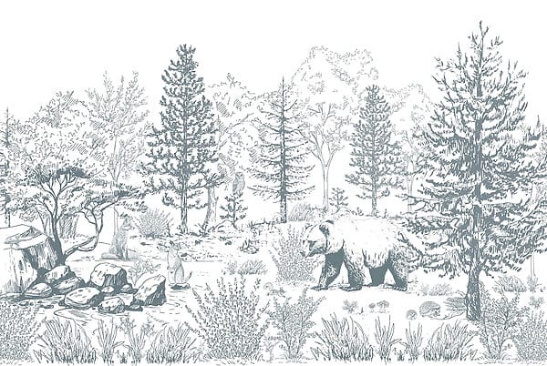 Urs în pădure Urs în pădure