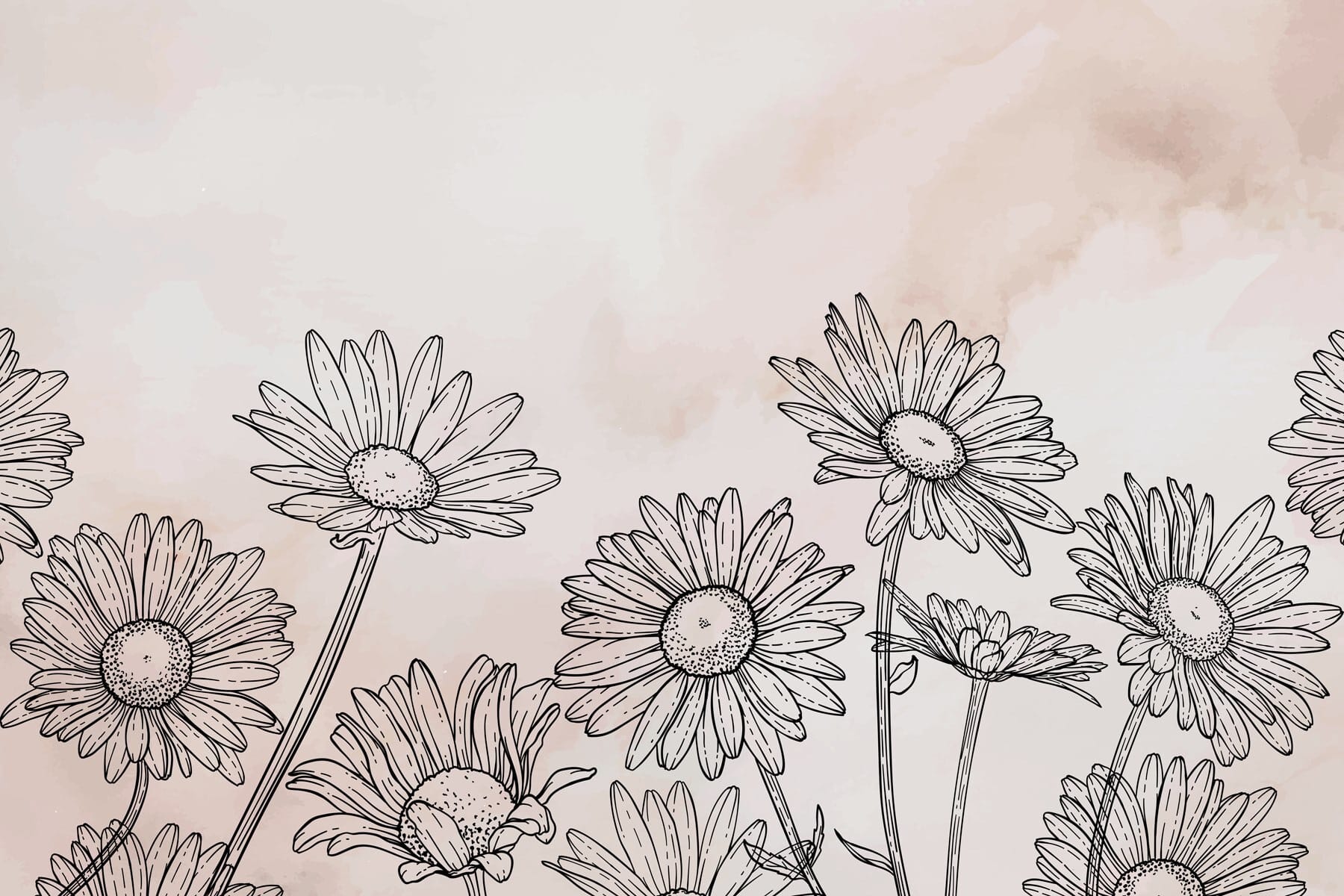 Group of flowers on a white background Group of flowers on a white background