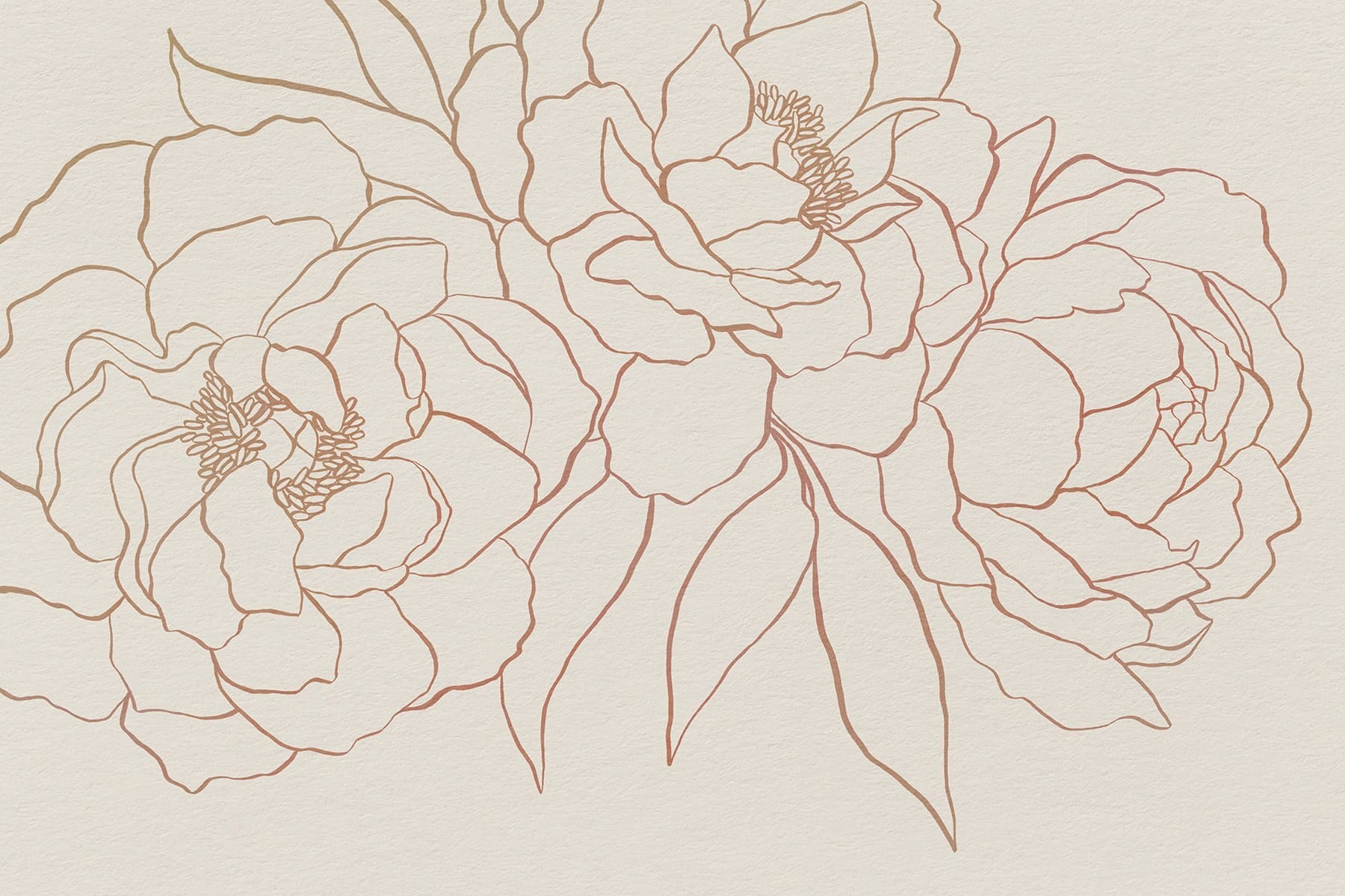 Drawing of flowers on a white surface Drawing of flowers on a white surface