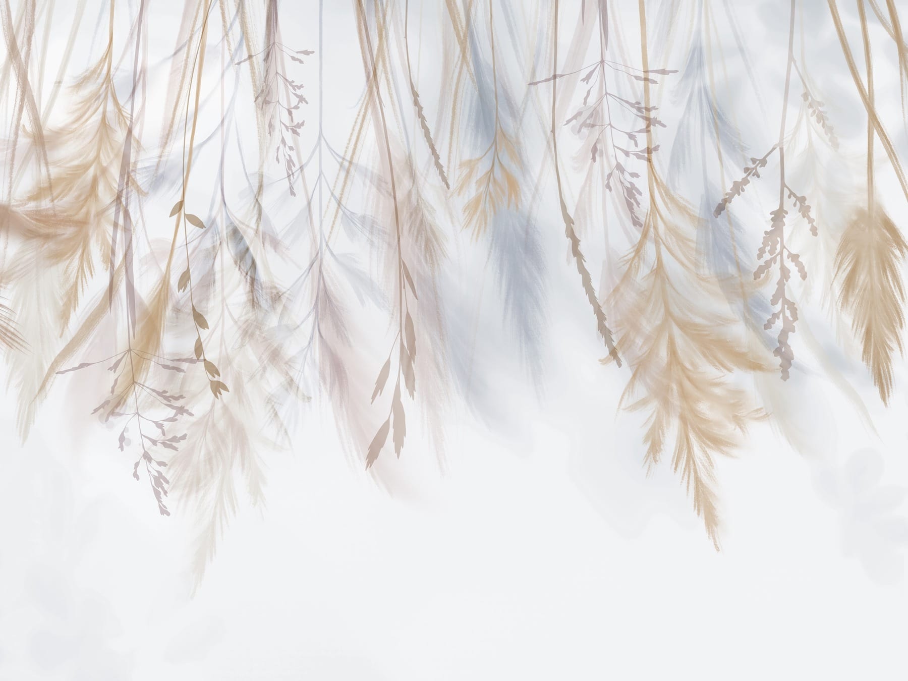 Delicate nature's soft embrace Delicate nature's soft embrace