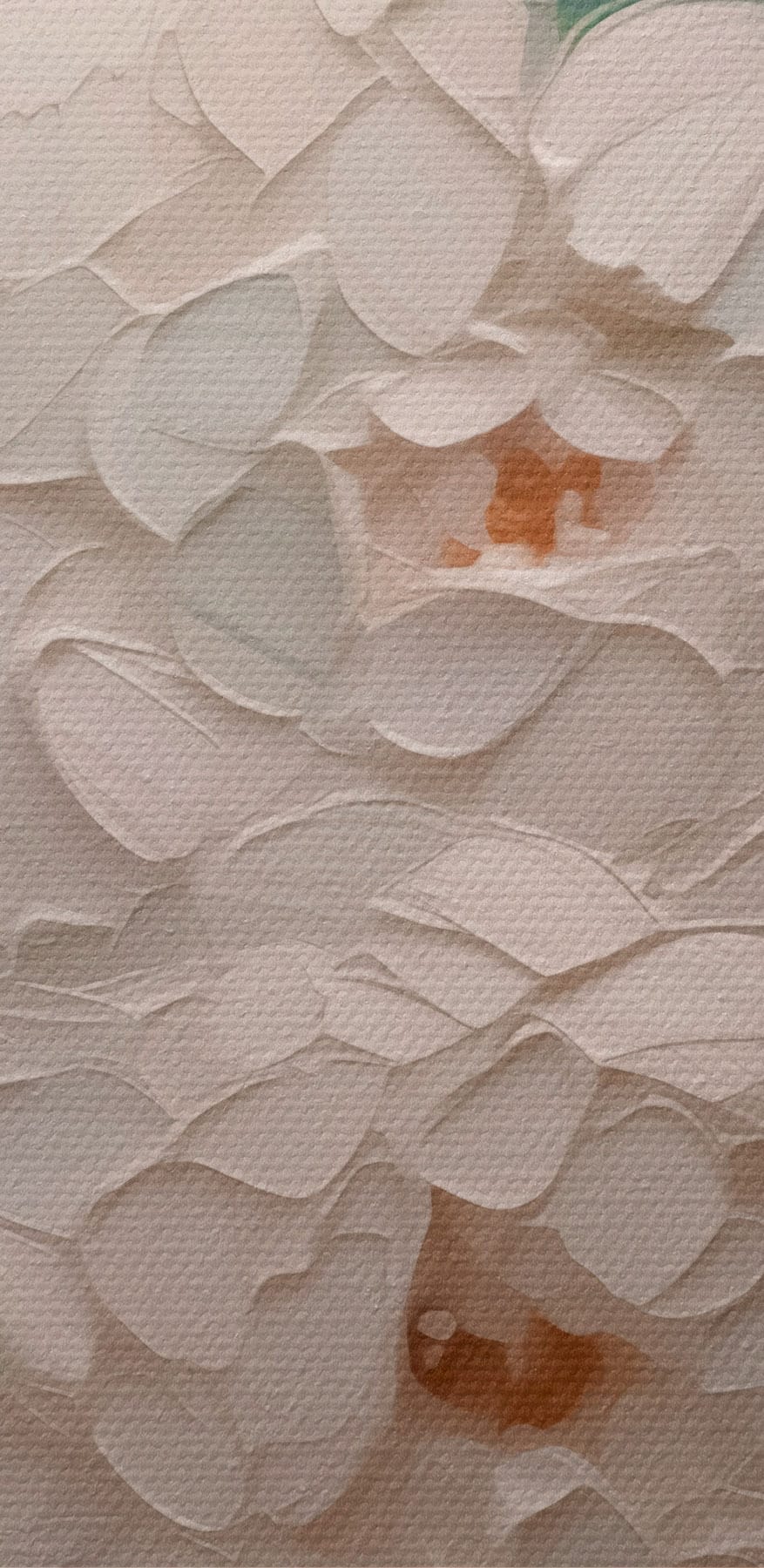 Pictura de flori albe