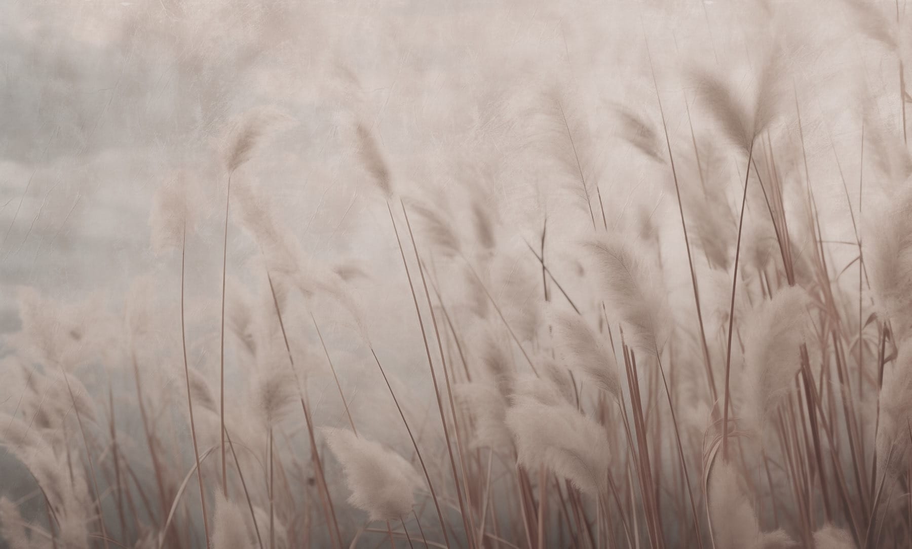 Gentle whispers of swaying grass Gentle whispers of swaying grass