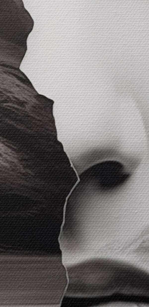 Woman's face and half of a face