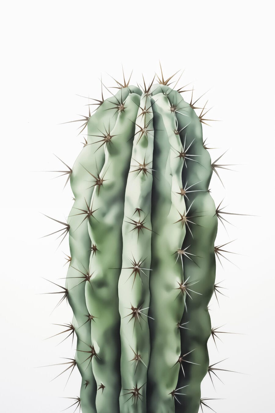 Cactus cu spini pe el