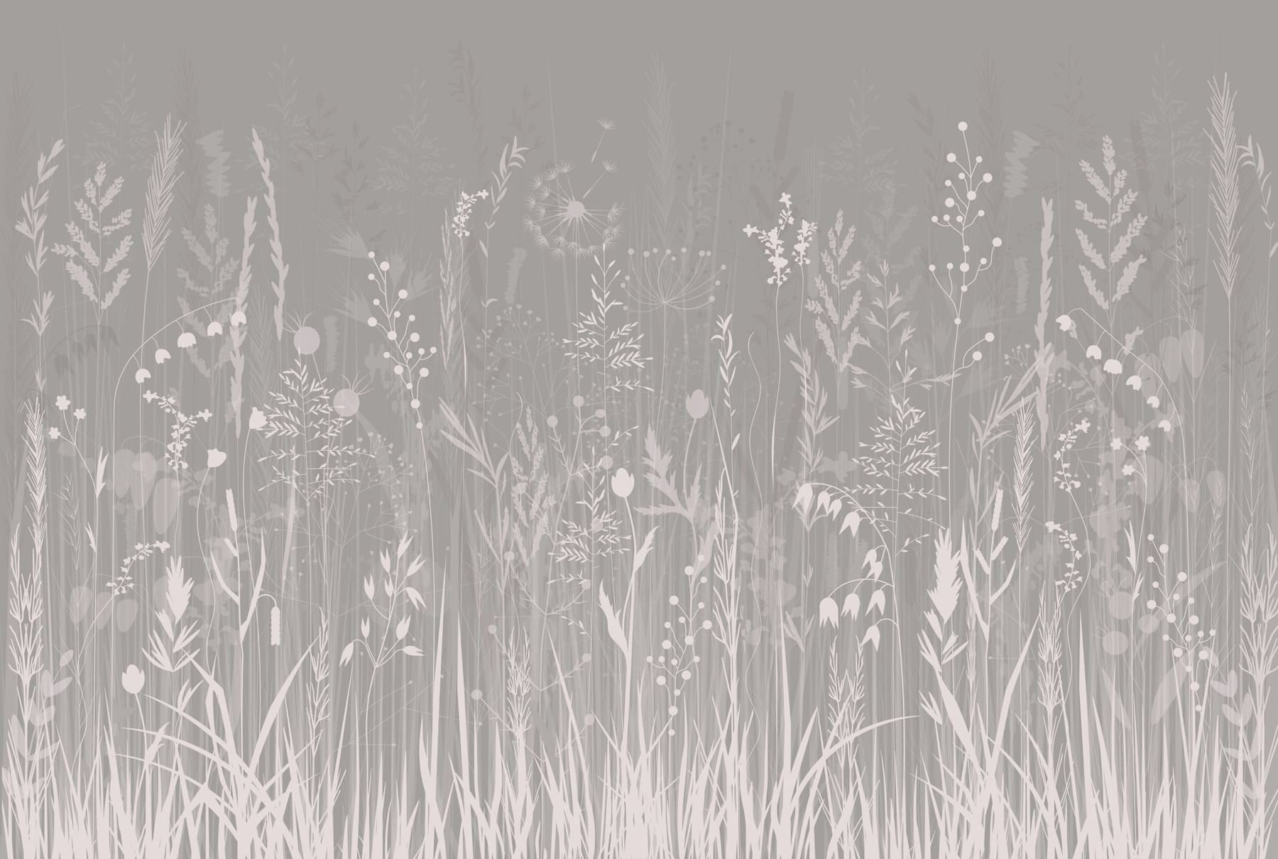 Field of grass with flowers